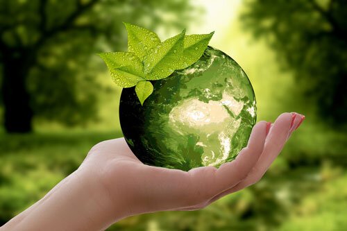 EcoLabel Lubricants: Promoting Sustainability and Environmental Stewardship