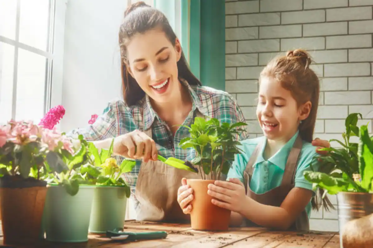 Natural Ways to Mosquito-Proof Your Garden