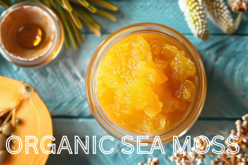 Sea Moss for Morning Sickness Relief: A Natural Remedy for Expecting Mothers