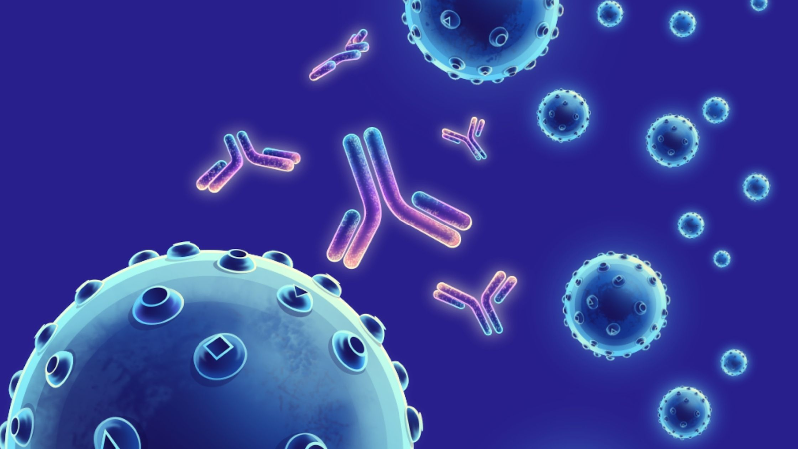 Antibodies