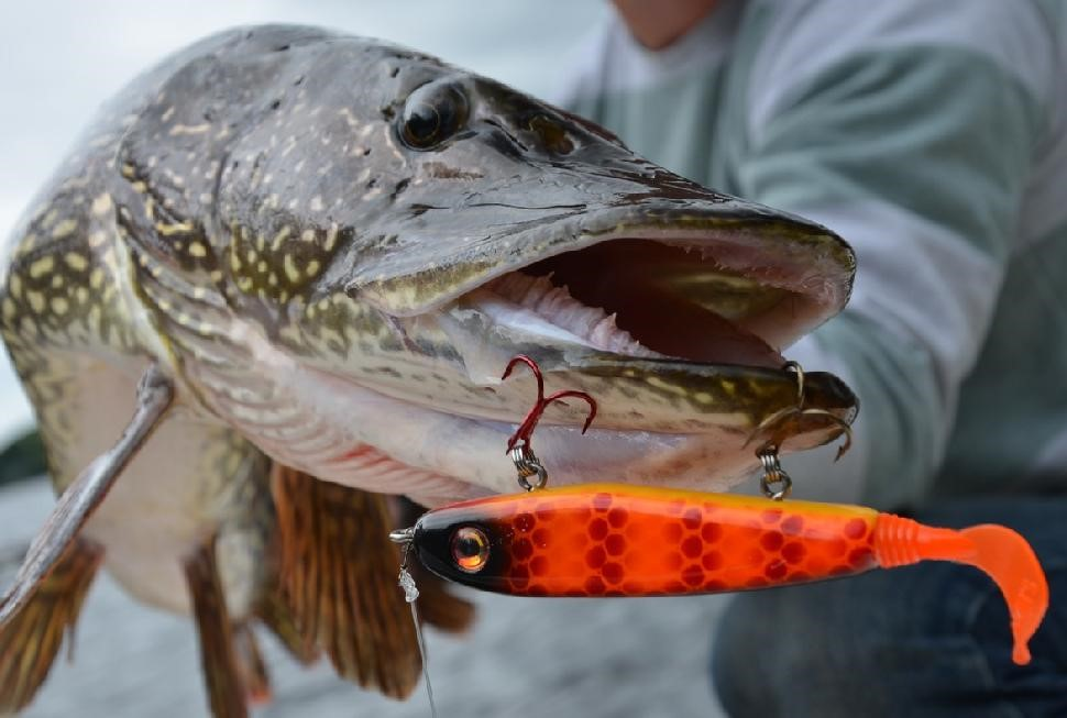 Best Pike Lures to Use with a Fishing rod