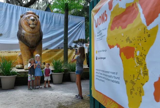 Inflatable Animals: From Party Decor to Outdoor Adventures