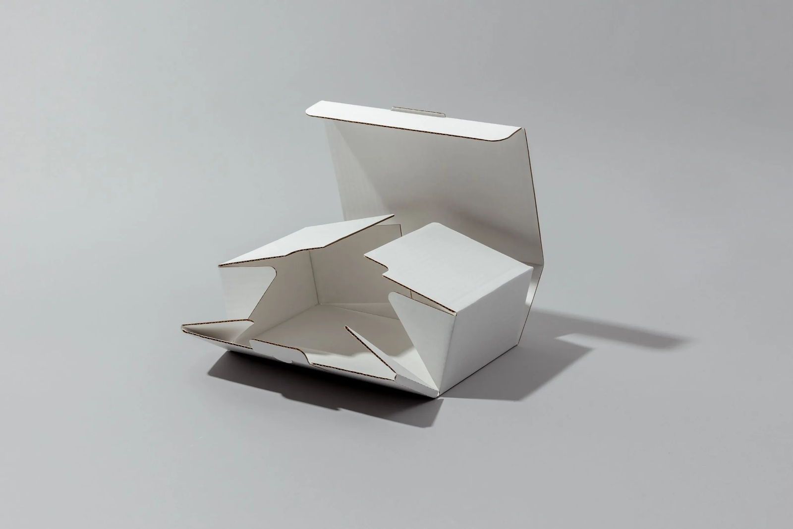 Revolutionizing the Packaging Industry: The Rise of Online Packaging Design