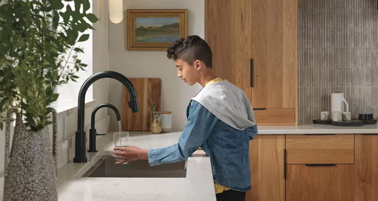 What Is a Mineral Infused Water Purifier and How It Works